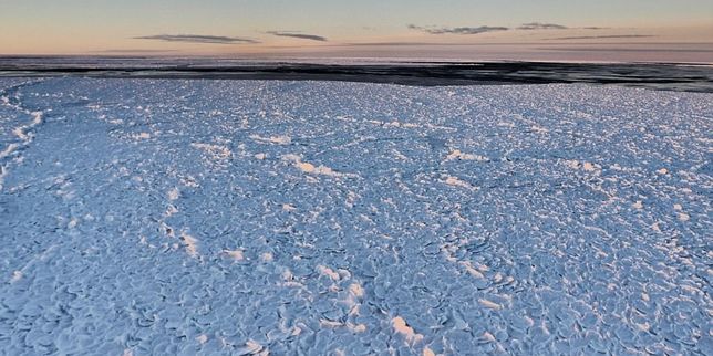 La « peau de dragon », une forme rare de glace observée dans l’Antarctique