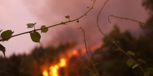 « Les changements de climat et de paysages se traduisent par une forte augmentation des risques d’incendies »