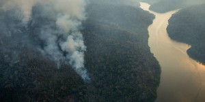 Déforestation au Brésil : l’opération « greenwashing » de Michel Temer fait long feu