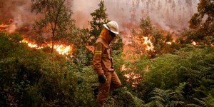Incendie de forêt au Portugal : ce que l’on sait