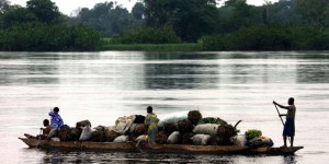 L’Agence française de développement se défend de livrer les forêts du Congo aux grandes concessions