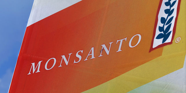 « Monsanto Papers » : posez vos questions sur l’enquête du « Monde »