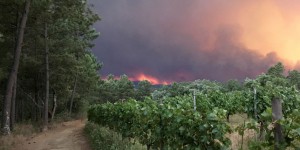 Un violent feu de forêt au Portugal fait au moins 24 morts