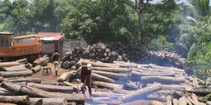 Clovis Razafimalala : « A Madagascar, tous les défenseurs de l’environnement sont menacés »