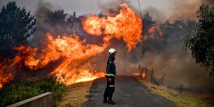 « La proportion de grands feux devrait augmenter dans les prochaines années »