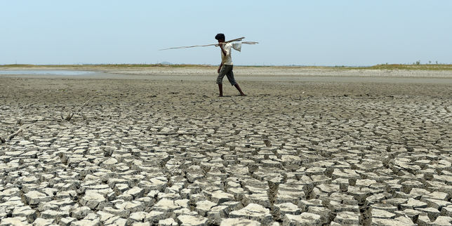 Une chaleur humide extrême pourrait rendre l’Asie du Sud inhabitable d’ici à 2100, selon une étude
