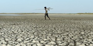 Une chaleur humide extrême pourrait rendre l’Asie du Sud inhabitable d’ici à 2100, selon une étude