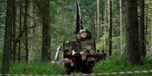 La forêt la mieux préservée d’Europe est menacée