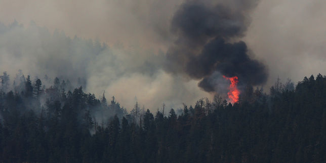 Dans l’Ouest canadien, plus d’un million d’hectares de forêt partis en fumée depuis avril