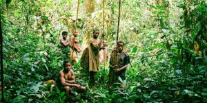 Dans le bassin du Congo, les Pygmées sacrifiés sur l’autel de la protection de la nature