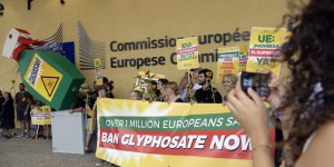Glyphosate : l’expertise européenne truffée de copiés-collés de documents de Monsanto