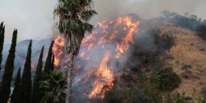 Incendie sans précédent à Los Angeles, 700 maisons évacuées