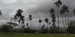 Maria, en direct : l’œil de l’ouragan touche sur Porto Rico
