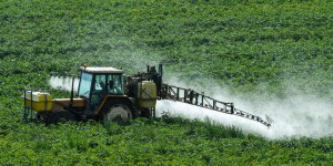 Un trafic international de pesticides jugé à Marseille