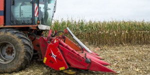 « 30 % des agriculteurs gagnent moins de 350 euros par mois » : scandale ou pas ?