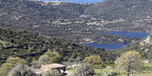 Corse : plus de 500 hectares brûlés en Balagne, le feu continue de se propager