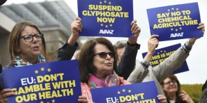 La France votera contre l’autorisation du glyphosate par l’UE pendant dix ans