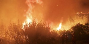 Incendies meurtriers au Portugal, « l’état de catastrophe publique » déclaré