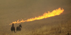 Le nord de la Californie brûle toujours