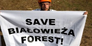Forêt de Bialowieza : la justice européenne menace la Pologne de lourdes sanctions