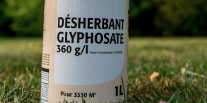 Glyphosate : « En Europe, un pesticide classé cancérogène doit être retiré du marché »