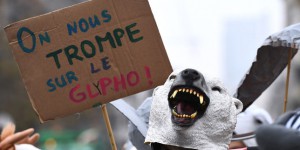 Glyphosate : révélations sur les failles de l’expertise européenne