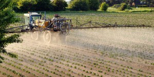 L’arrêté régissant l’usage des pesticides en France attaqué devant le Conseil d’Etat