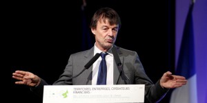 Climat : Nicolas Hulot appelle les patrons français à passer « à l’action »