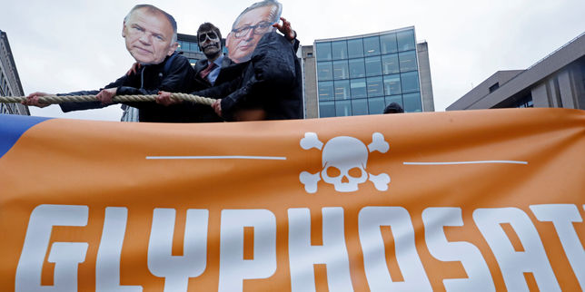 Glyphosate : les ONG portent plainte contre les agences d’expertise européennes