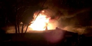 Un oryctérope du Cap meurt dans l’incendie dans le zoo de Londres