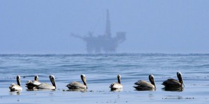 Huit ans après Deepwater Horizon, Donald Trump relance l’exploitation de pétrole en mer