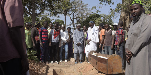 Après le massacre en Casamance, le gouvernement sénégalais s’attaque au trafic de bois