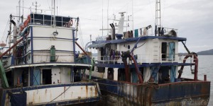 Pêche electrique : des ONG accusent la commission européenne