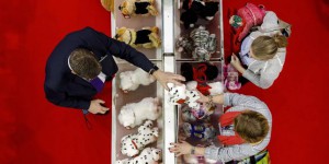 En Europe, 20 % des jouets testés contiennent des phtalates interdits