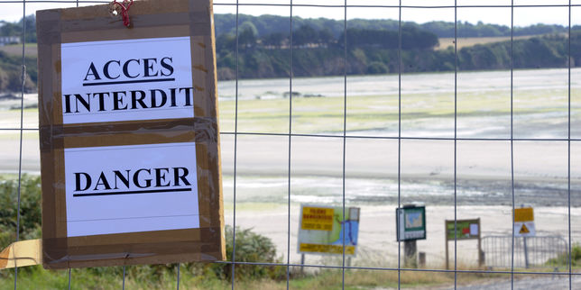 L’Etat condamné à verser plus de 500 000 euros à Saint-Brieuc pour n’avoir pas su empêcher la prolifération d’algues vertes