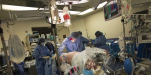 Don d’organes : les femmes donnent davantage leur rein que les hommes