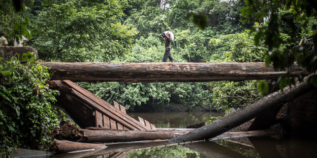 « En RDC, les populations locales font les frais de la lutte contre la déforestation »