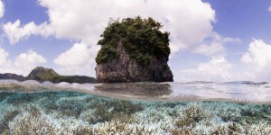 Les Samoa créent un sanctuaire pour requins