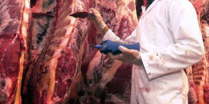 Scandale de la viande frelatée en Belgique
