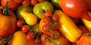 Aubergine, tomate, carotte… Savez-vous vraiment distinguer fruits et légumes ?