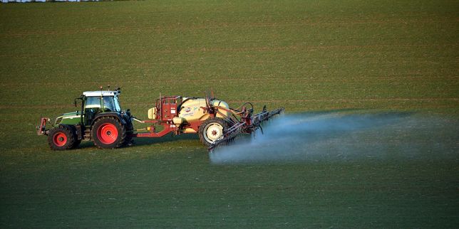 Pesticides : un nouveau plan timide pour réduire la dépendance de l’agriculture française