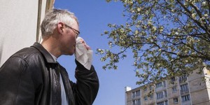 Cinq questions sur les allergies aux pollens