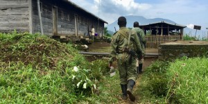 En RDC, les gardes du parc naturel des Virunga face aux groupes armés