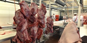 La société face au « paradoxe de la viande »