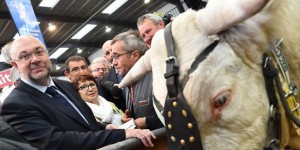 La France agricole s’insurge contre les coupes dans le budget de la PAC