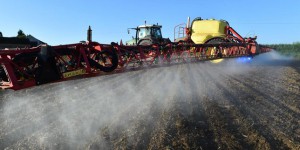 Glyphosate : l’interdiction de l’herbicide controversé compromise en France