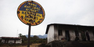 En RDC, le parc naturel des Virunga à l’épreuve de la violence
