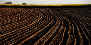 Un « risque d’accaparement des terres agricoles » en France