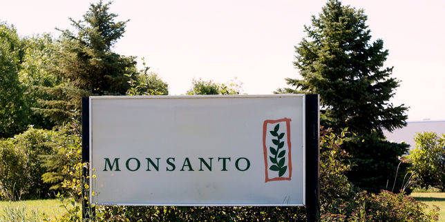 Agrochimie : après leur fusion, Bayer annonce la suppression de la marque Monsanto