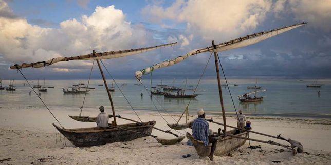 Climat : les poissons migrent, les tensions montent entre pays pêcheurs
